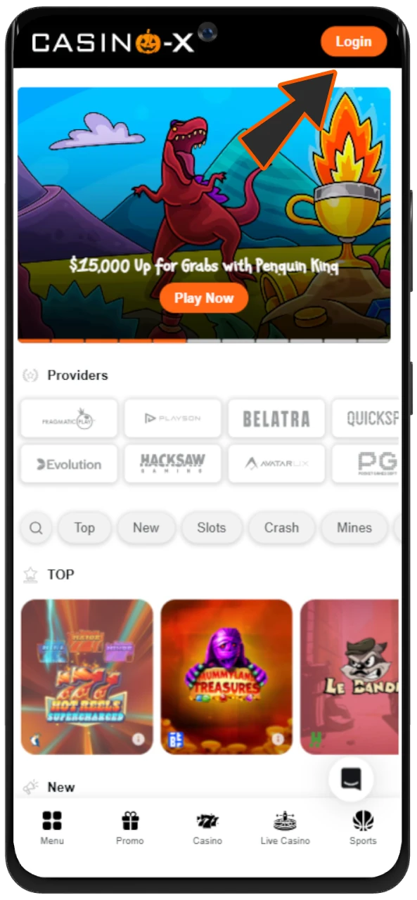 Visit the official Casino-X website.